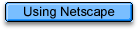 Using Netscape